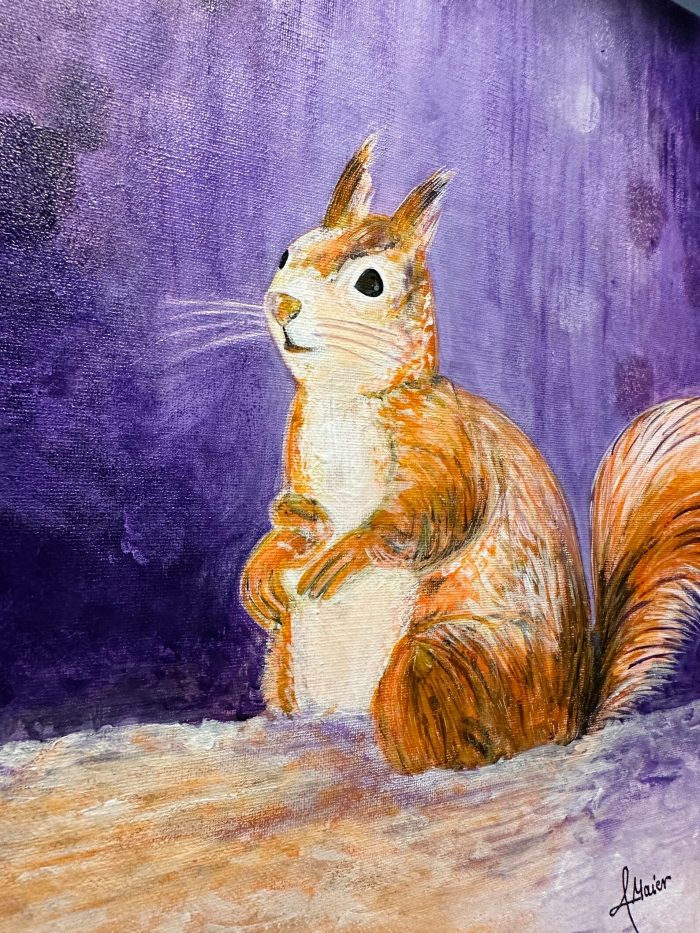 Kleines Eichhörnchen im Rahmen – Bild 5