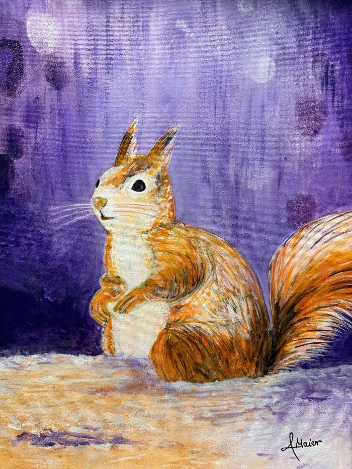 Kleines Eichhörnchen im Rahmen – Bild 7