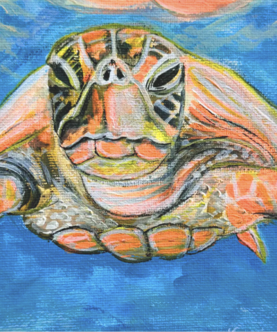 Postkarte: Schildkörte schwimmend im Meer