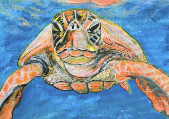 Postkarte: Schildkörte schwimmend im Meer