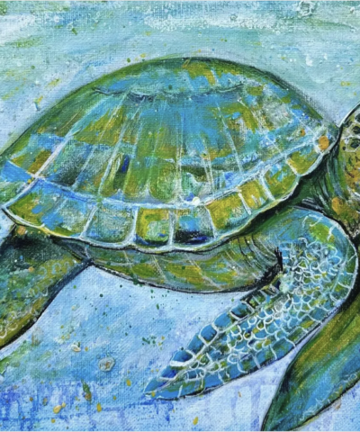 Postkarte: Kleine Schildkröte