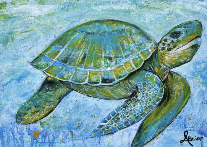 Postkarte: Kleine Schildkröte