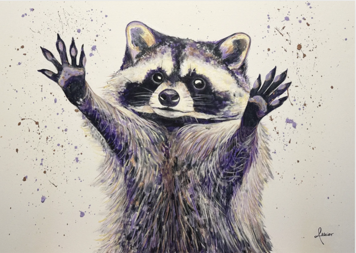 Postkarte: Party Waschbär