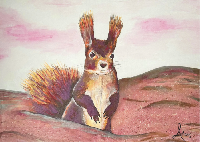 Postkarte: Eichhörnchen in der Wüste