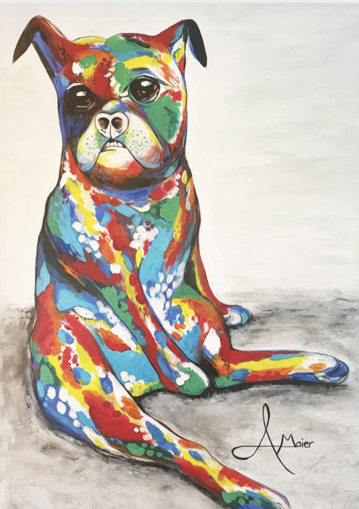 Postkarte: Bunter Hund