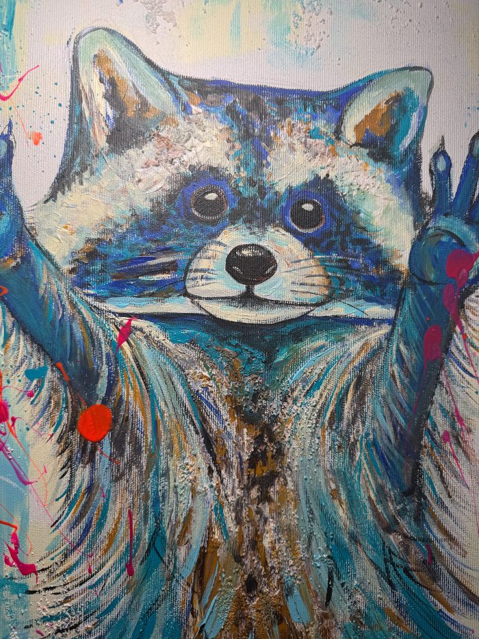 Waschbär Party – Bild 3
