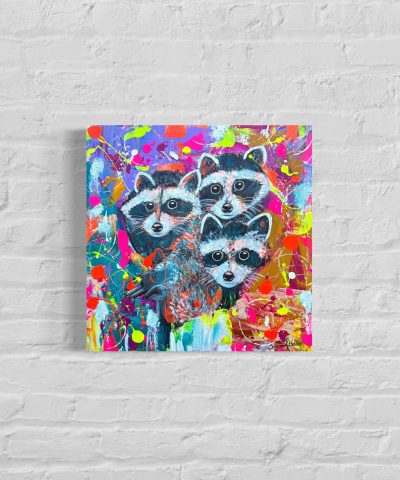 Das Waschbär Trio
