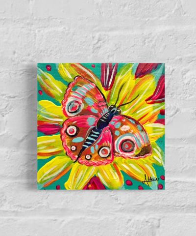 Schmetterling in der Blume