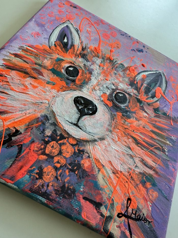 Mini Waschbär Baby – Bild 6