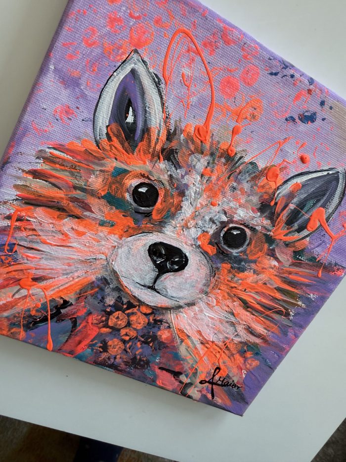 Mini Waschbär Baby – Bild 4