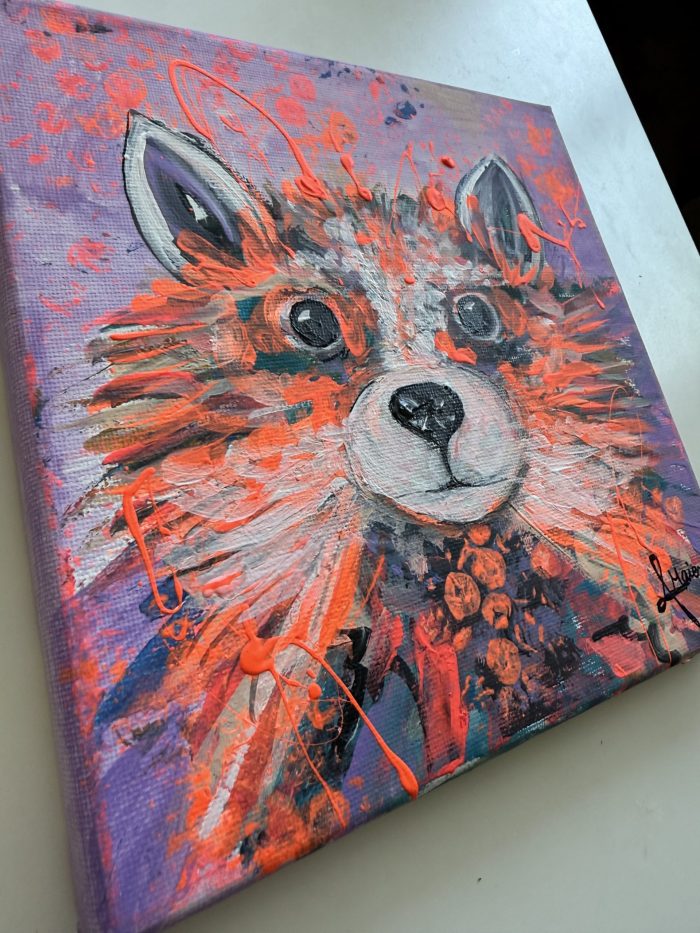 Mini Waschbär Baby – Bild 5