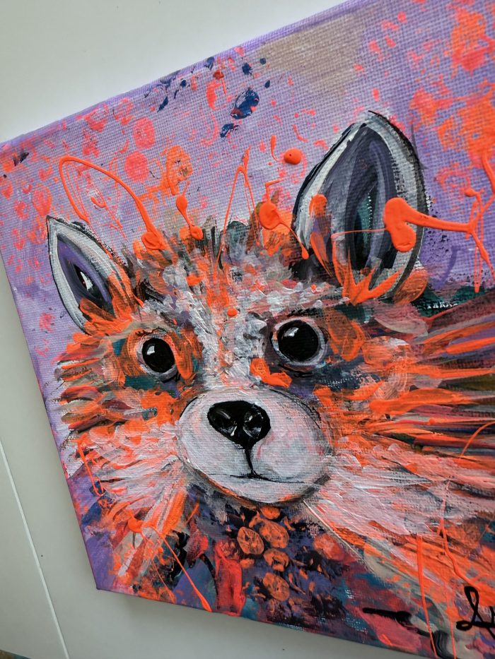 Mini Waschbär Baby – Bild 3