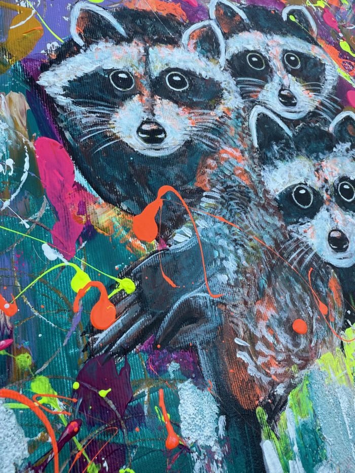 Das Waschbär Trio – Bild 6