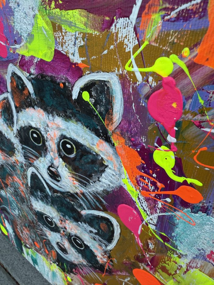 Das Waschbär Trio – Bild 5