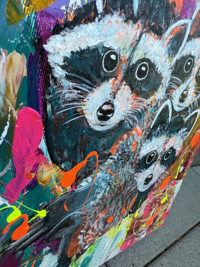 Das Waschbär Trio – Bild 4