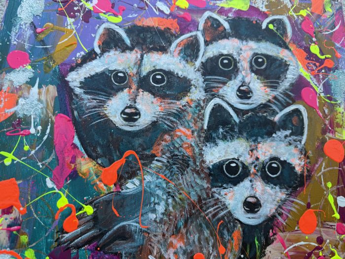 Das Waschbär Trio – Bild 3