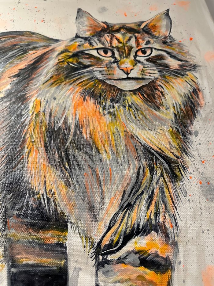 Goldenes Maine Coon Kätzchen – Bild 6