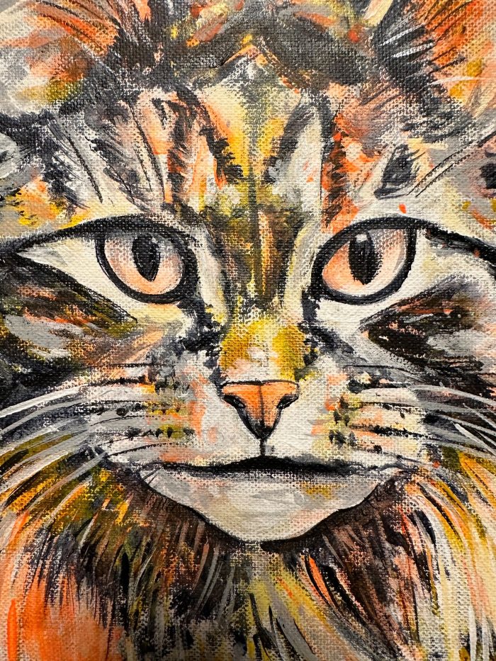 Goldenes Maine Coon Kätzchen – Bild 3