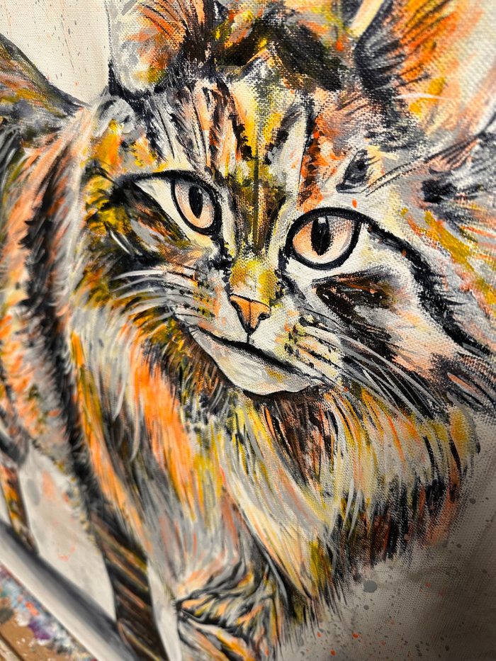 Goldenes Maine Coon Kätzchen – Bild 4