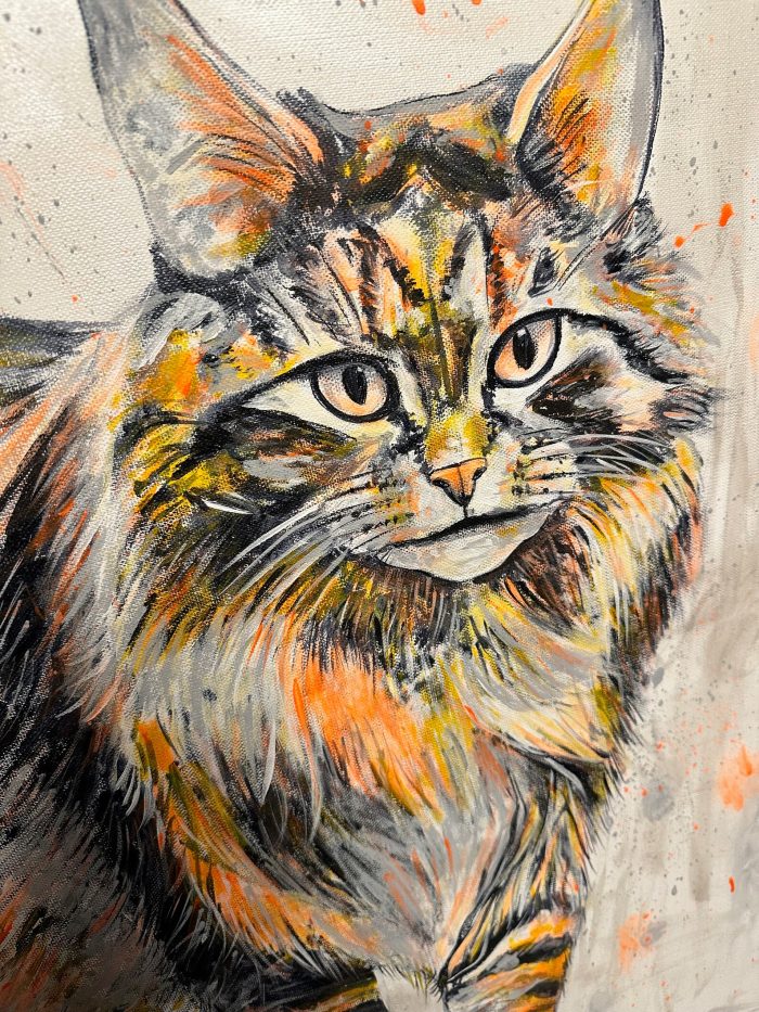 Goldenes Maine Coon Kätzchen – Bild 5