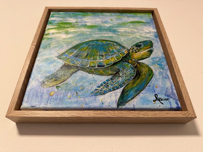 Kleine Schildkröte mit Rahmen – Bild 4