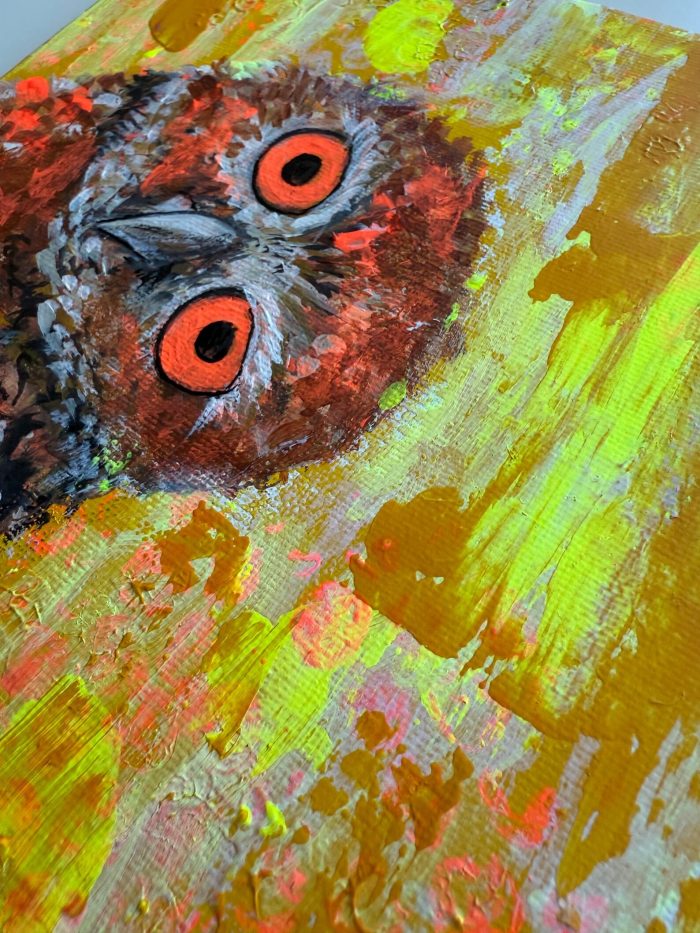 Guck guck liebe Eule – Bild 5
