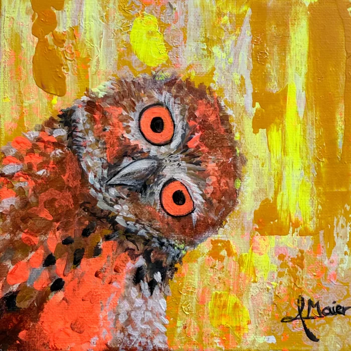 Guck guck liebe Eule – Bild 3