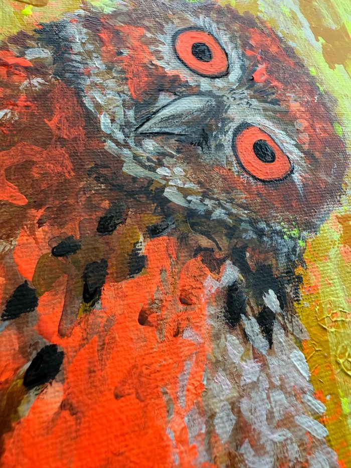 Guck guck liebe Eule – Bild 4