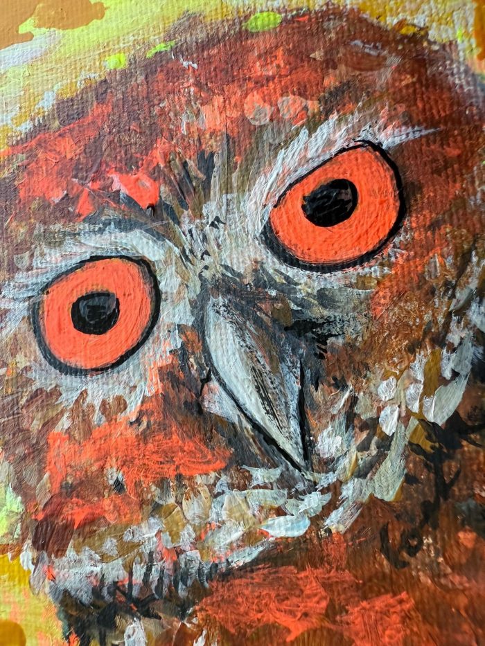 Guck guck liebe Eule – Bild 6